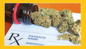 Niemcy: Jak było zanim zalegalizowano medyczną marihuanę?, JamaicaSeeds.pl