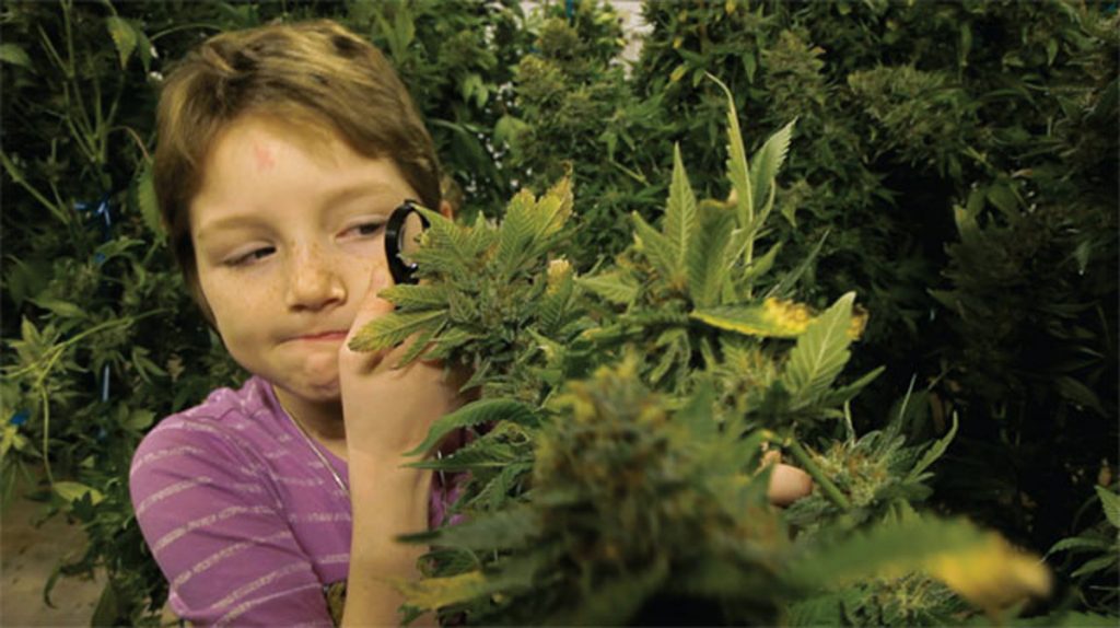dziecko-cannabis-joint-palenie-marihuana-1